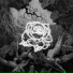 NXVER LUCKY