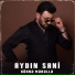 Aydin Sani