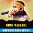 koushik audhekare