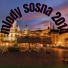 Mlody Sosna
