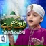 Talha Qadri