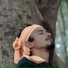 Rahmat Roy