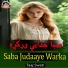 Taaj Swati