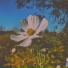 apriltears