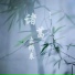 陈长歌