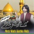 Saim Ali Khan