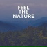 The Nature Soundscapes