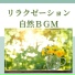 マインドワークアウト