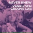 Vanriksem, Groove Lab