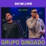 Grupo Gingado