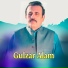 Gulzar Alam
