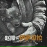 赵照 (Zhao Zhao)