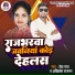 Akhilesh Rajbhar, Neha Raj