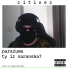 Citinez