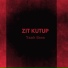 Zıt Kutup
