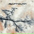 Zosterae