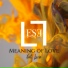 LESEL feat. Lucía