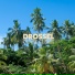 Drossel