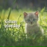 Music For Cats