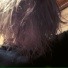 deadk1d