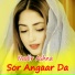 Nadir Ashna