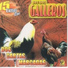 Los Dos Galleros