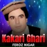 Feroz Nigar
