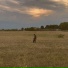 Outcast.