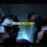 Paco, Anka