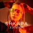 SHKAPA