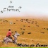 Almas Charruas
