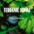 Teddanic Fonaz