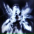 fxrid