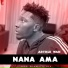 Article Wan