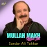 Sardar Ali Takkar