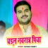 Shivani Pandey