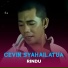 Cevin Syahailatua