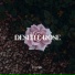 WHM, DeepX