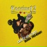 Cassino 12
