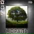 Pro100Gramm, kiper.net, DeadTom