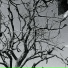 llysno