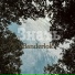 Banderlok