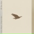 Dimitris Mitsiopoulos, Hourglass and Space