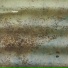 Tuber