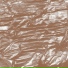 Fossil