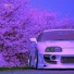 CXRGI