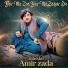 Tabedar Amirzada