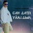 Наиль Анасов