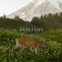 Anastasis