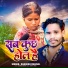 Dhanesh Dhamal